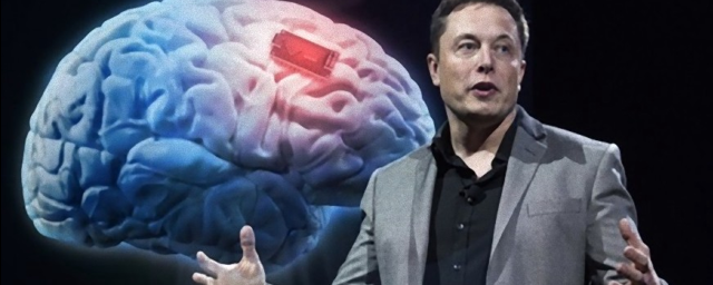 Илон Маск рассказал об успешном вживлении чипа в мозг обезьяны