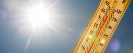 Жара до +33 градусов прогнозируется в Мордовии 27 августа