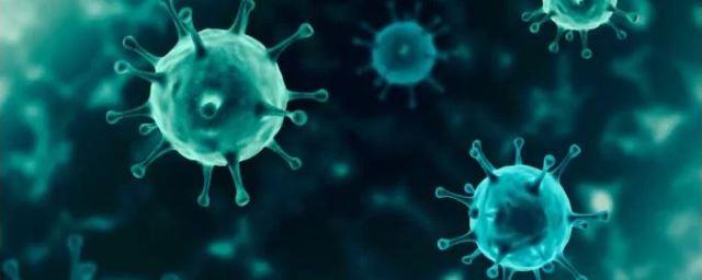 Доктор Лазарев: Корь может обнулить иммунитет при пандемии ковида