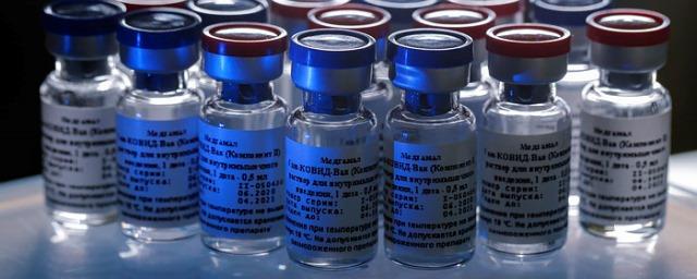 Власти Москвы назвали сроки массовой вакцинации от COVID-19