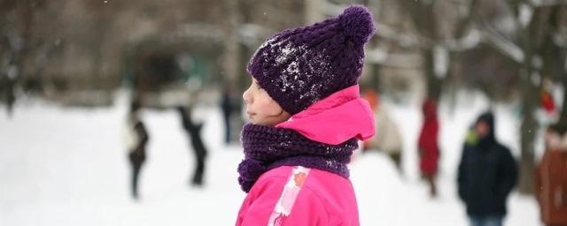 Нижегородским школьникам разрешено не посещать школу в морозы