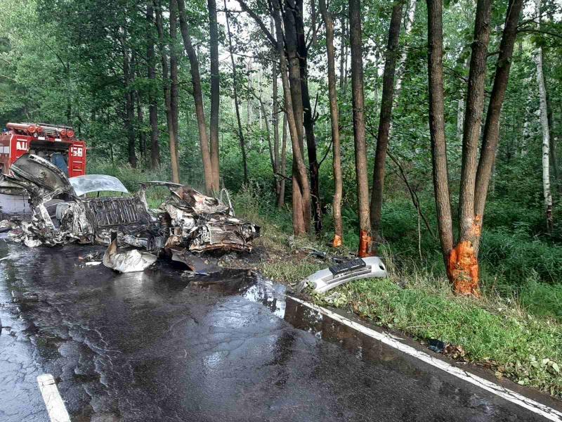 В Гусь-Хрустальном районе авто загорелось после столкновения с деревом