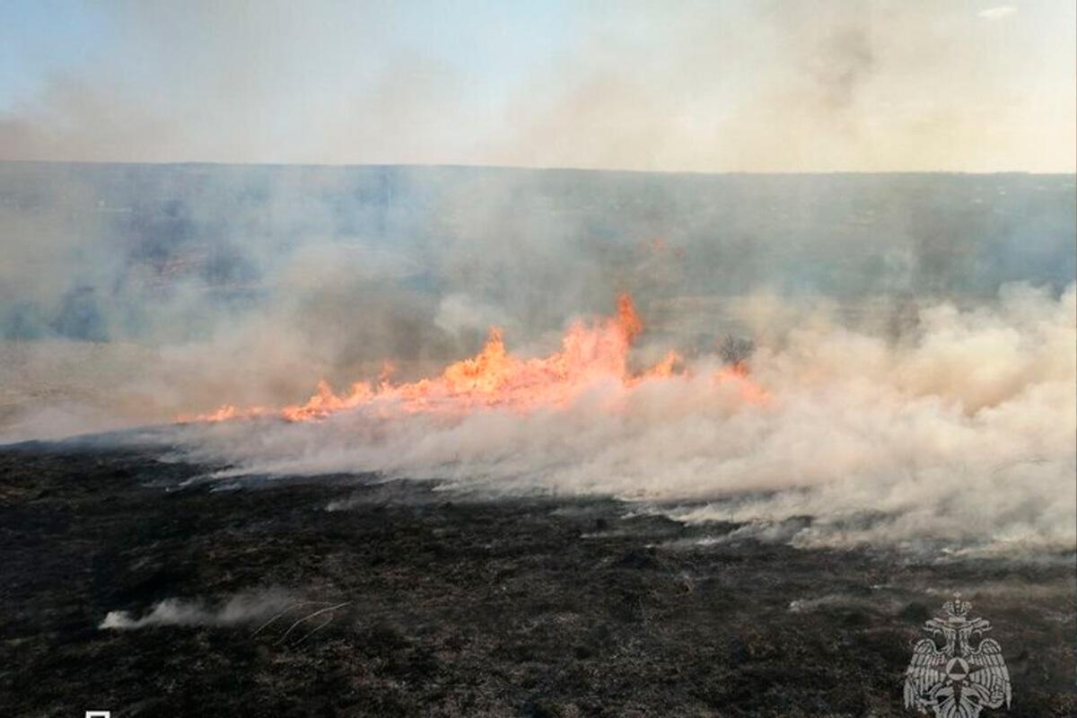 В Нижегородской области зафиксированы крупные пожары на 65 гектарах