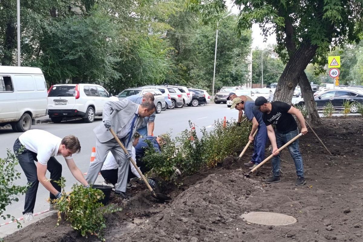 Совет депутатов Новосибирска ударит по несанкционированной парковке масштабным озеленением