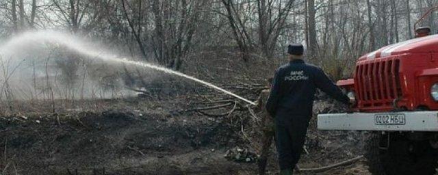Под Новосибирском из-за сильного ветра горели пять дач