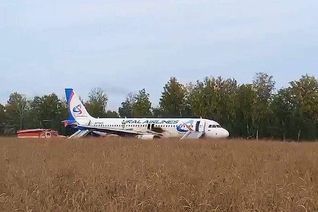 Экстренно севший в поле под Новосибирском A320 отремонтируют и будут снова использовать