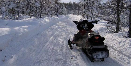 В Тамбовской области рабочий угнал у начальника снегоход