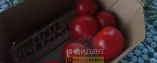 Жительница Новосибирска купила помидоры со страшным посланием