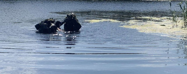 В Череповецком районе в реке обнаружили тела двух утонувших мужчин