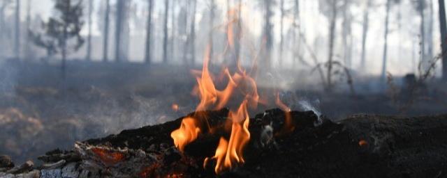 В заповеднике «Магаданский» возник пожар