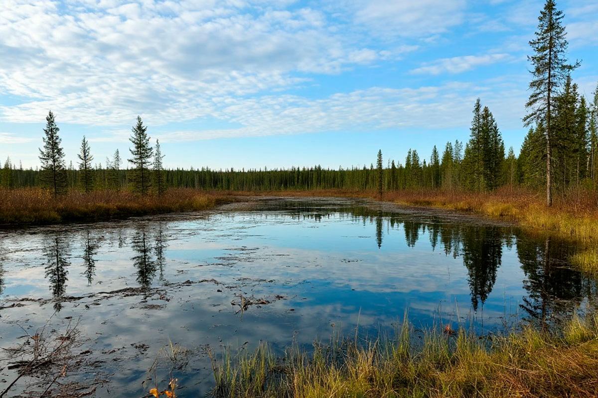 Убыточная нефтяная компания из Югры получила серию исков от Росприроднадзора