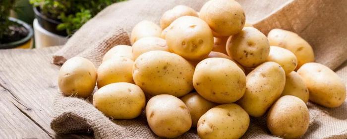 В России дешевеет картофель на фоне высокого урожая и проблем с хранением