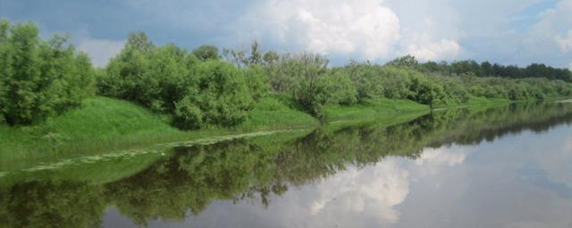 В Новосибирской области водолазы нашли тело 6-летнего мальчика, пропавшего три дня назад на реке Омь