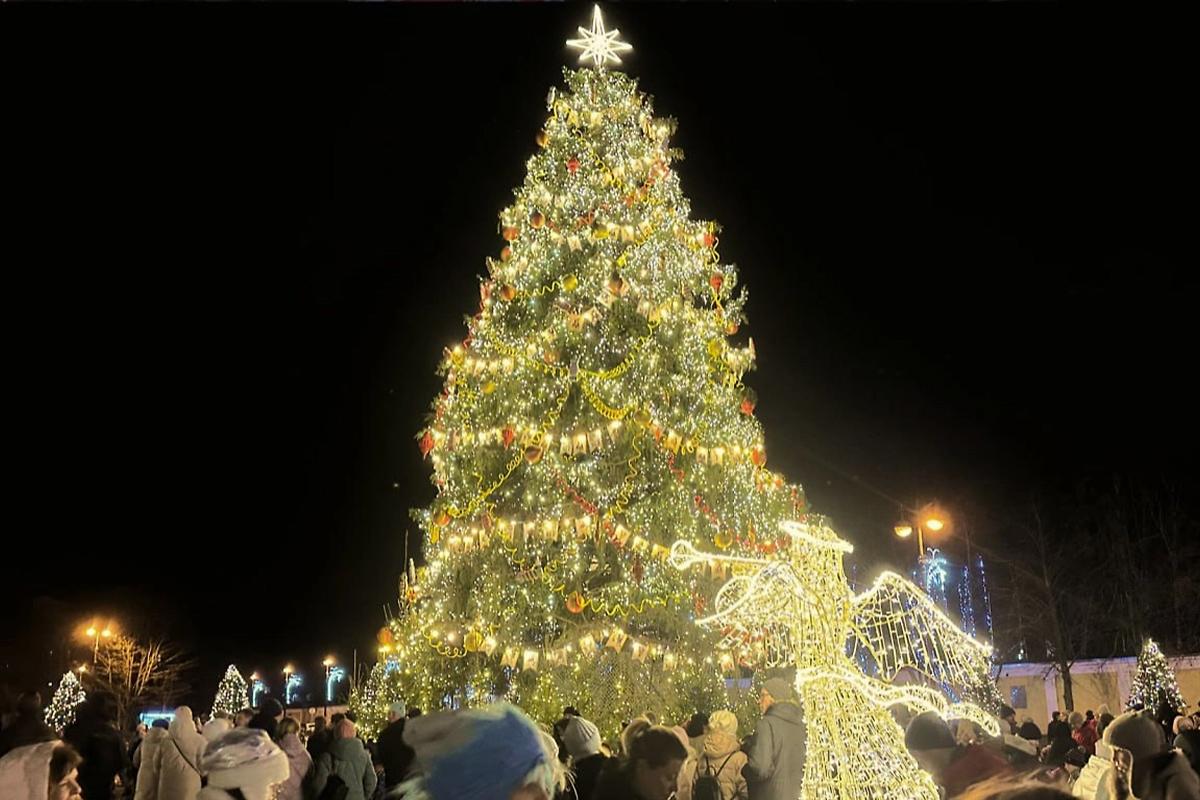 Новогодняя ель из Кронштадта набрала более 268 тысяч голосов и победила в федеральном конкурсе