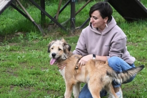 Ветеринар перечислил запрещенные для питомцев продукты со стола человека