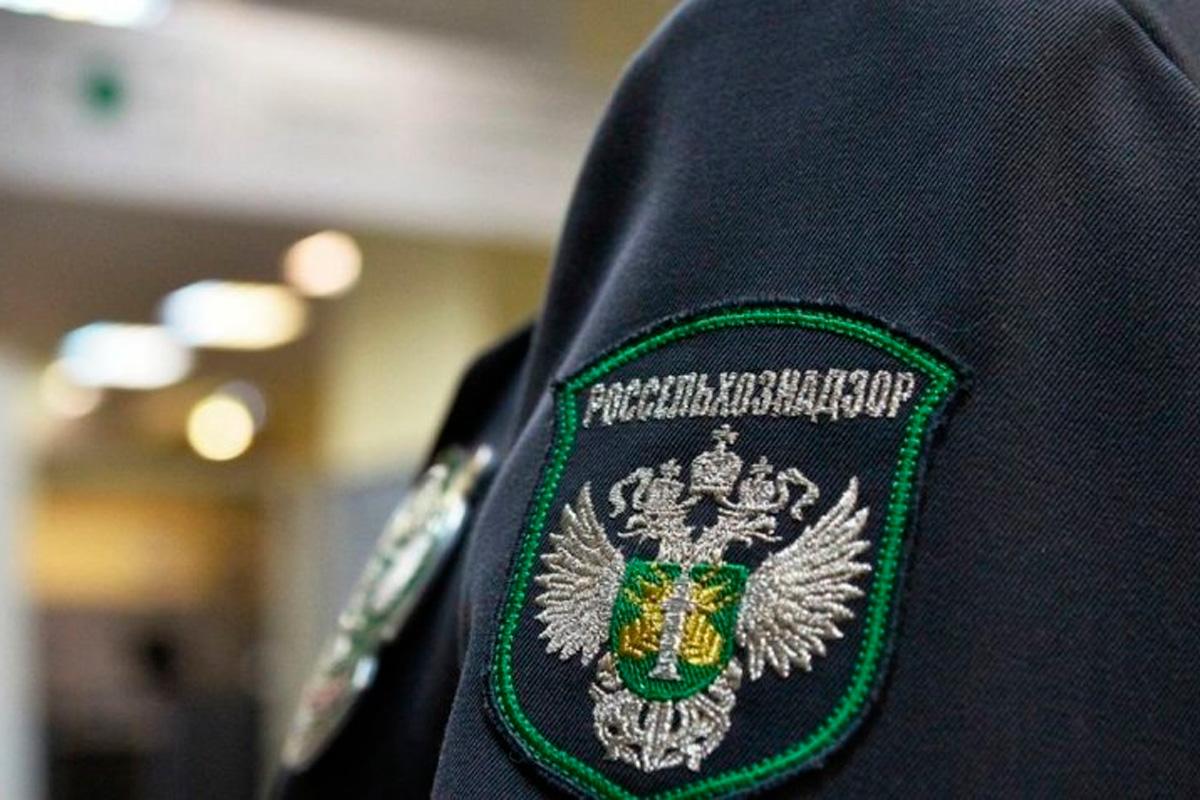 В школах Ульяновской области нашли просрочку и мясо без документов