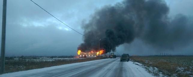 На юге Петербурга при пожаре в конюшне погибли две лошади