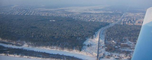 В Нижнем Новгороде выявили 7 тысяч га бесхозных лесов