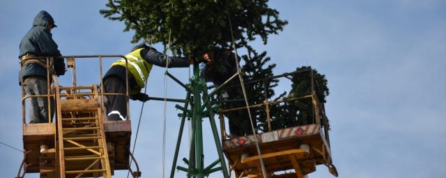 В Ялте устанавливают 18-метровую главную городскую елку