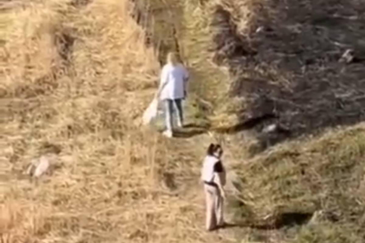 В Домодедово ищут женщин, пытавшихся поджечь сухую траву