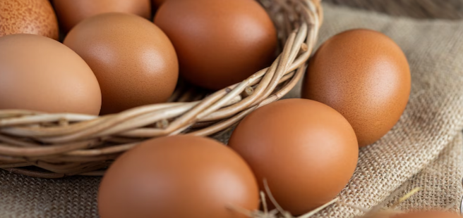 В Псковской области с начала 2023 года производство яиц увеличилось на 17%