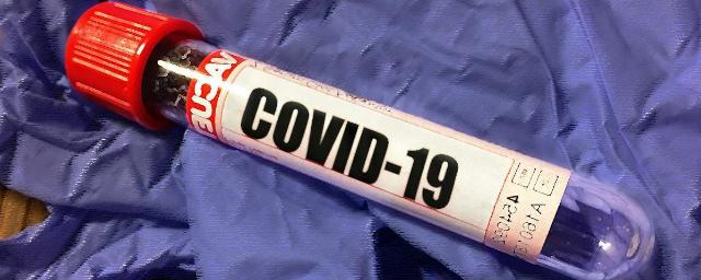 Камчатка в десять раз увеличила количество проводимых тестов на COVID-19