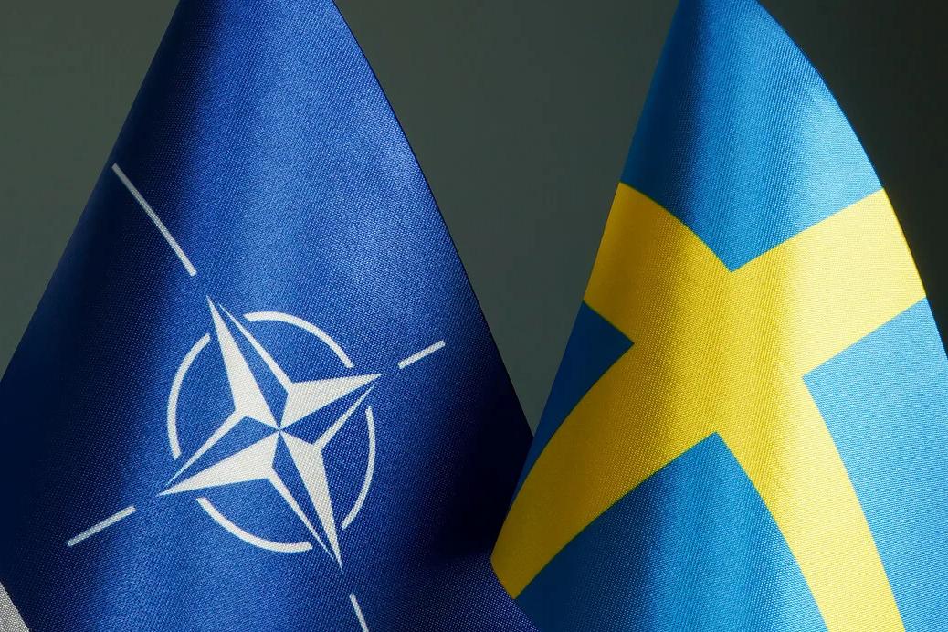 Парламент Турции одобрил ратификацию членства Швеции в НАТО