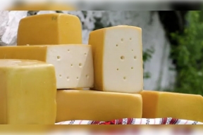 Российские сыровары представили продукцию на гастрономическом фестивале «Сырные ряды»
