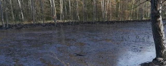 В Ярославле водоем возле завода покрылся густой черной пленкой