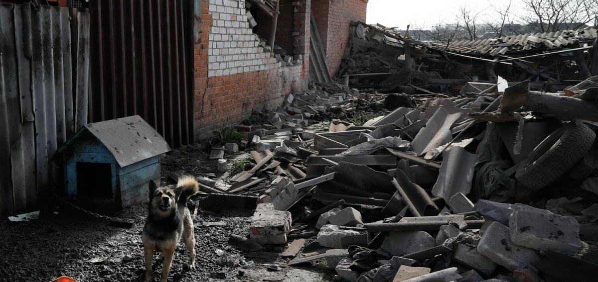 ВСУ в очередной раз обстреляли белгородское село Головчино: пострадавших нет, повреждены четыре дома