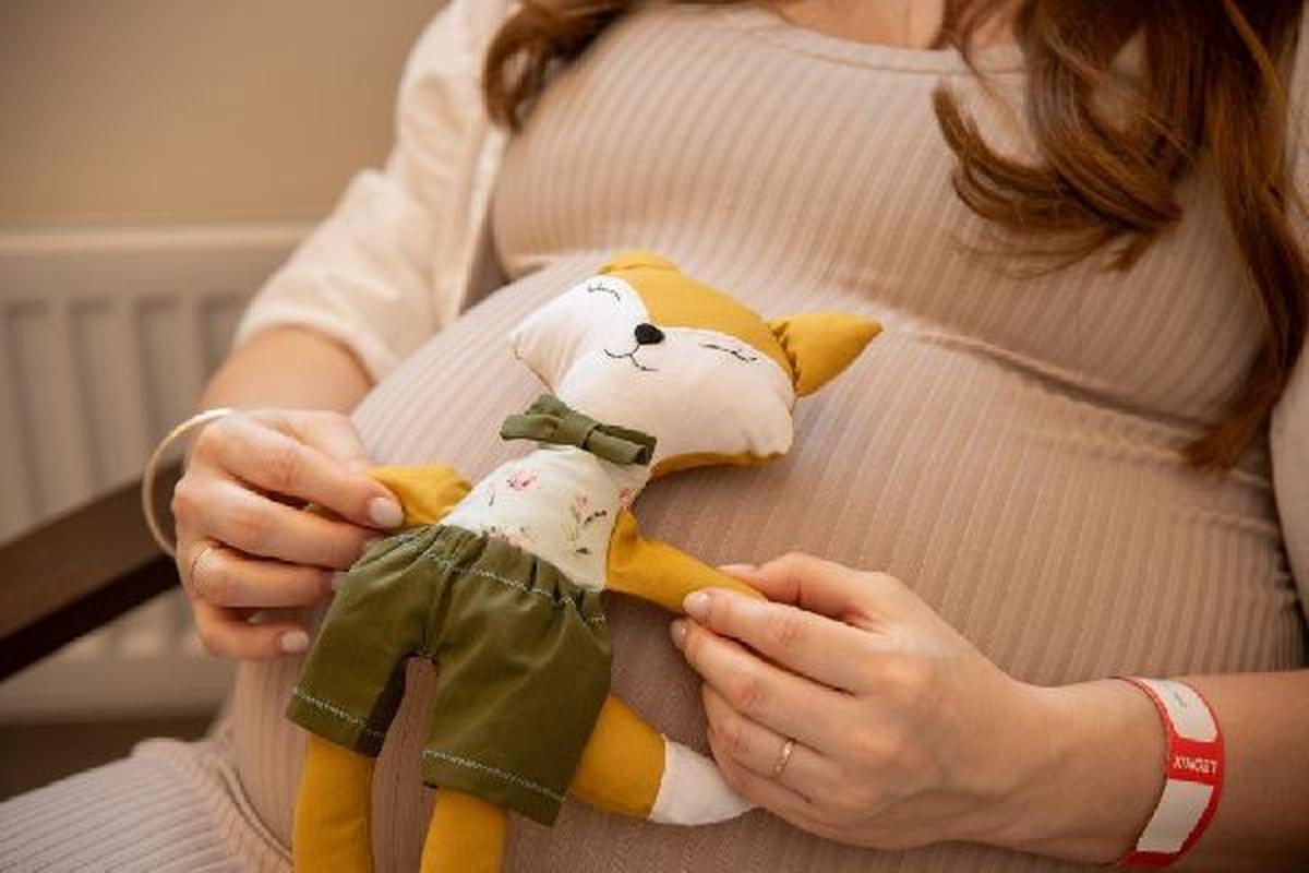 В Госдуме предлагают разрешить ветеранам СВО ЭКО без подтверждения бесплодия