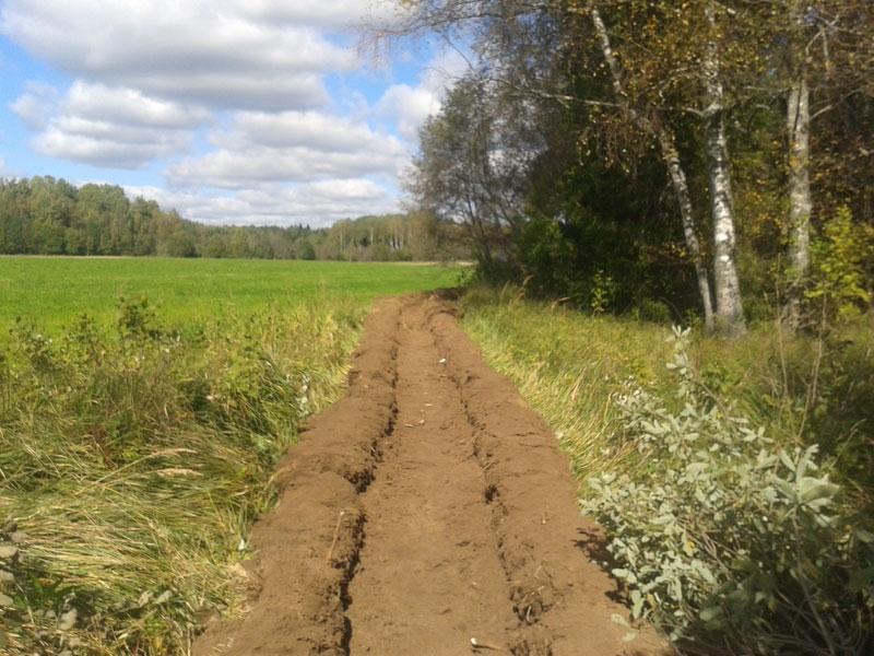 В пермских лесах рекультивировали минерализованные полосы