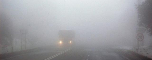 Белгородскую область вновь накроет густой туман