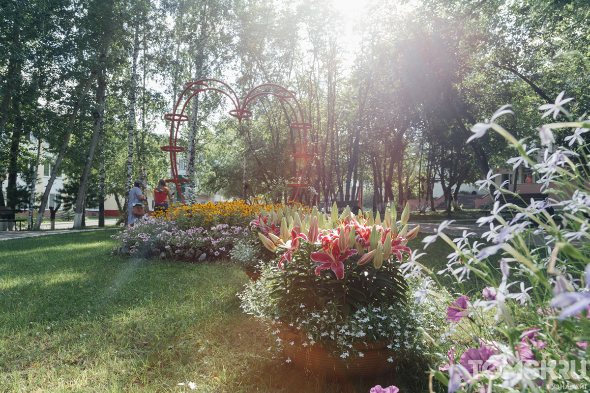 В Томской области определили проекты благоустройства на 2026 год