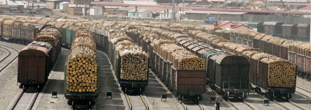 На границе с Китаем возникли заторы из поездов с углем и лесом