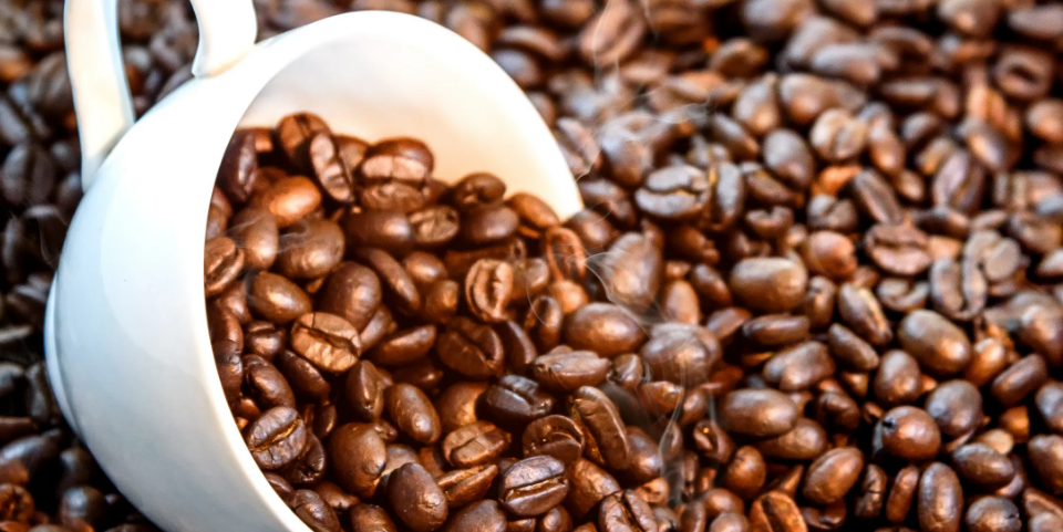 Биробиджанский предприниматель запустил имиджевый проект по выращиванию кофе