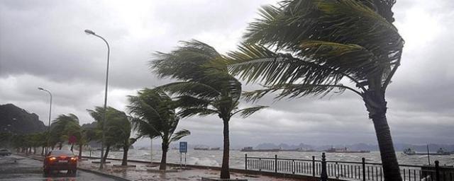 Istanbul airports suspended air arrivals and departures due to hurricane winds