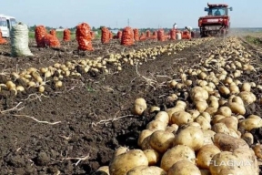 Россельхознадзор выявил серьезные нарушения в работе хозяйства в Костромской области