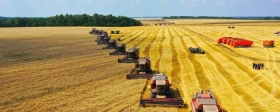 Правительство РФ направит ещё 10 млрд рублей на льготные кредиты аграриям