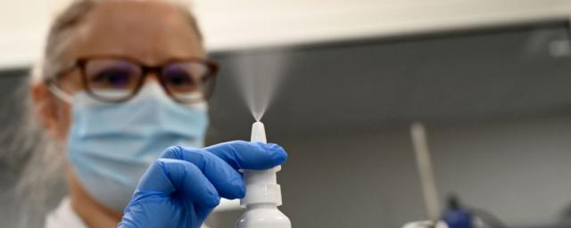 Гинцбург заявил, что назальная вакцина от COVID-19 защитит непривитых «Спутником V»