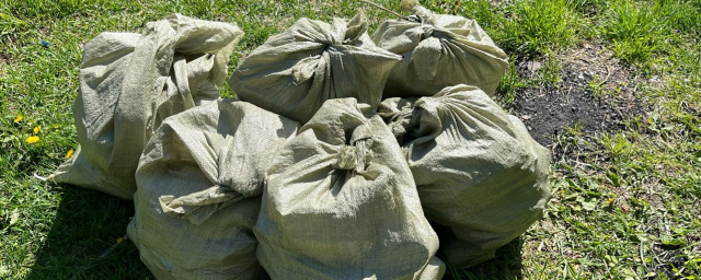 Волонтеры собрали шесть мешков мусора с территории родника купцов Щенковых в Ивантеевке