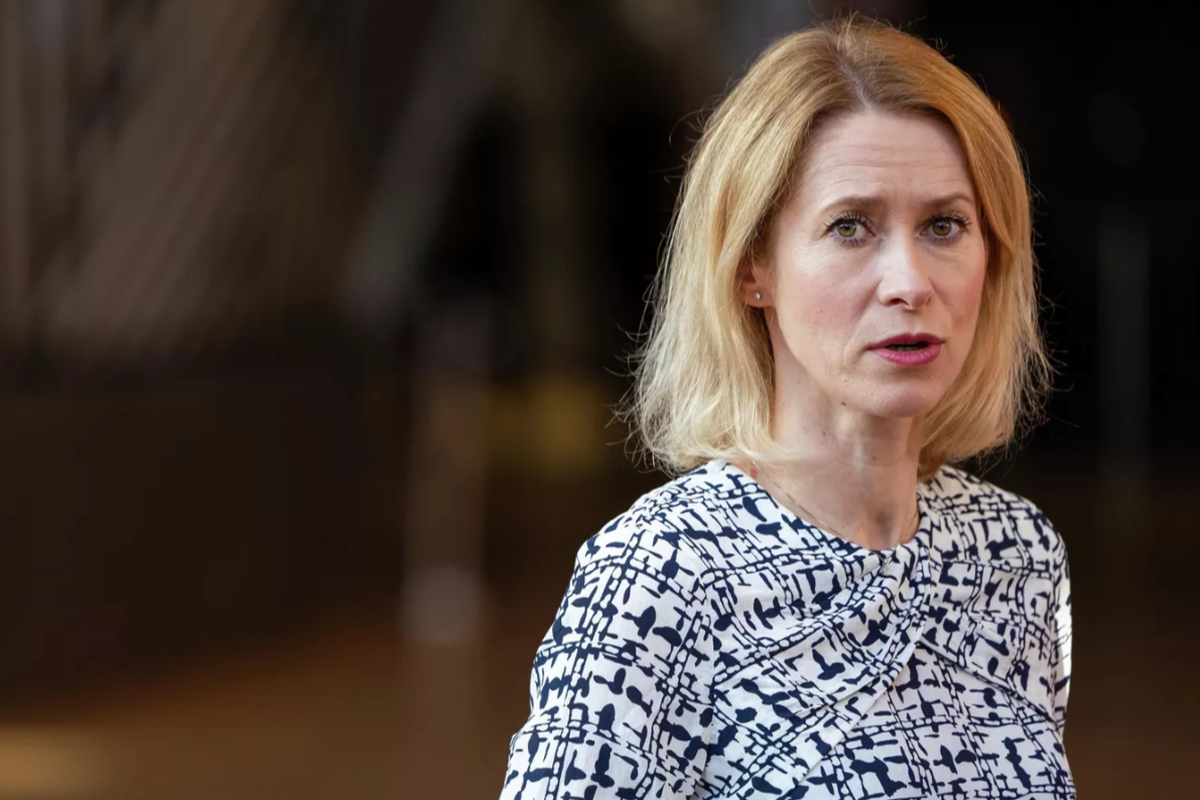 Мастер-класс по фейкам: депутат Госдумы усомнился в психическом состоянии главы дипломатии ЕС Каллас