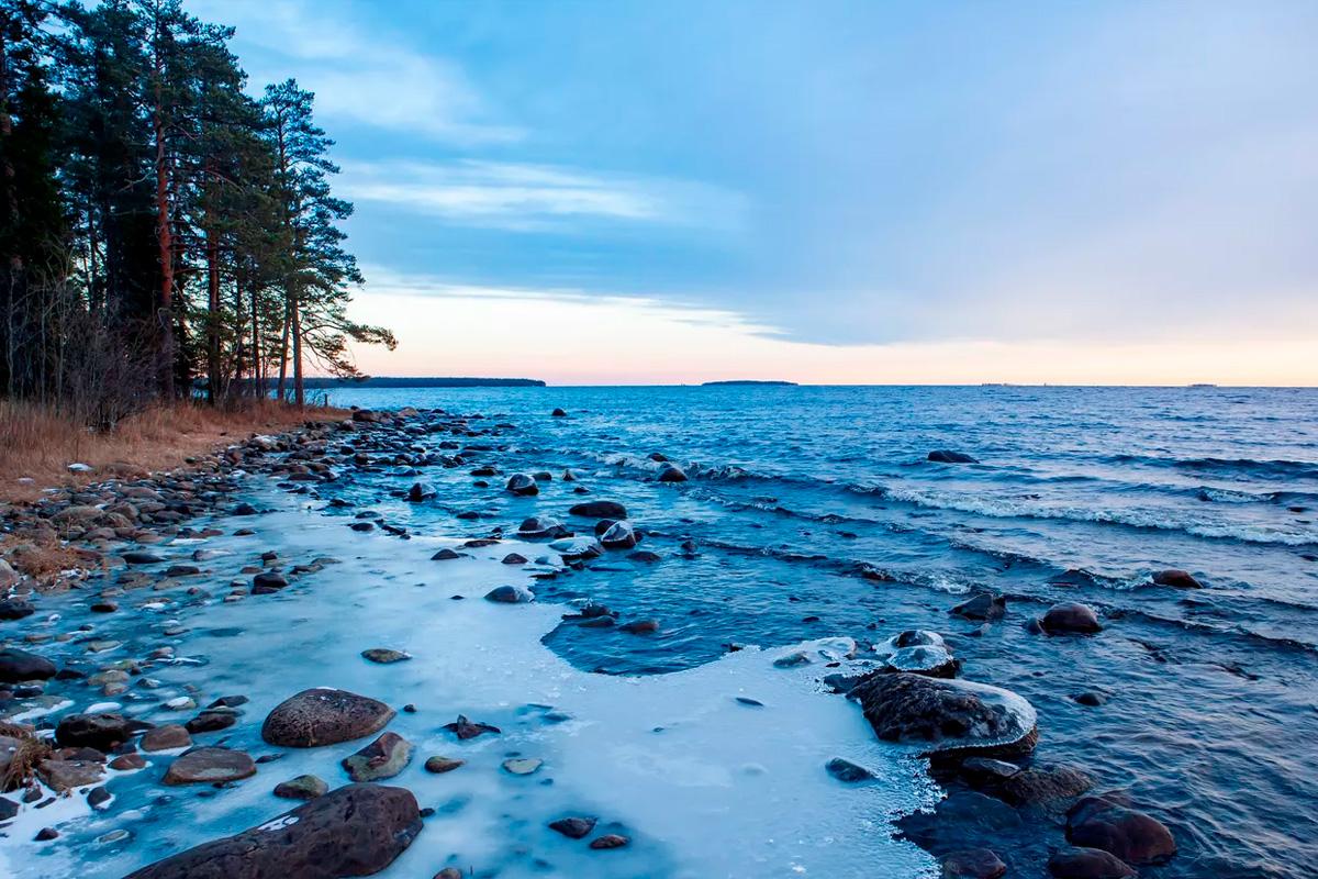 В Совфеде обсудили развитие аквакультуры и экосистемы Онежского озера