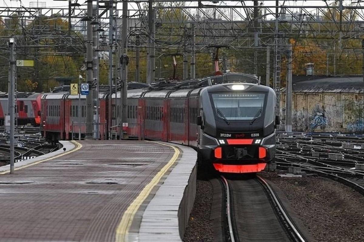 Петербуржцы предложили назвать новую электричку до Сестрорецка «Сестрик»