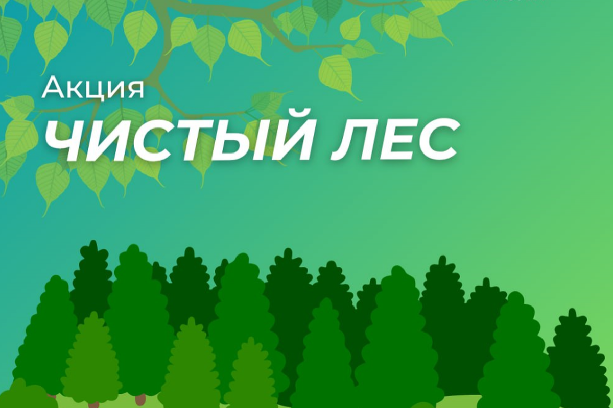 В Ивантеевке Городского округа Пушкинский пройдет акция «Чистый лес»