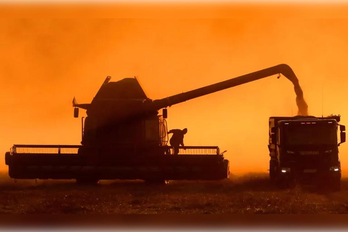 В Минсельхозе Красноярского края заявили о возмещении затрат на практику студентов