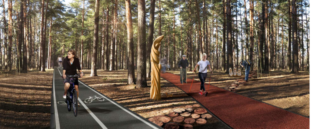 На территории Новосибирского района появится лесной парк «Заельцовский бор»