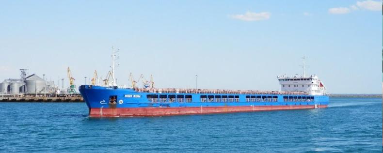 Власти Турции начали расследование о происхождении зерна на борту судна «Жибек жолы»