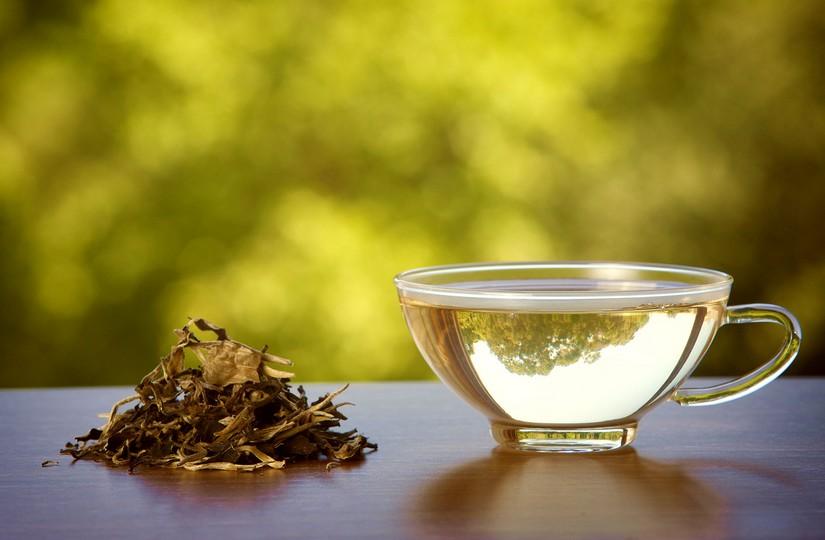 Эксперты рассказали, какой вид чая положительно влияет на организм человека