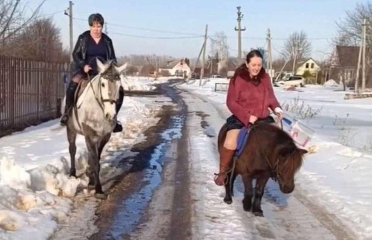 Избирком верхом: в Воронежской области к избирателям пробирались на лошадях